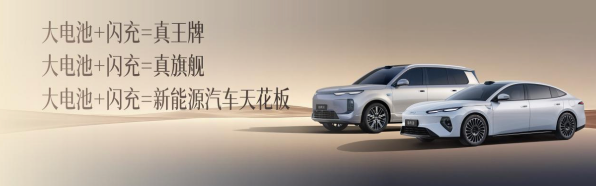 比亚迪海豹08预扣款25万元,预计7月上市-图5
